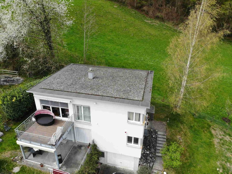Alpen Panorama view Luxury House with green Garden, Buchs, Switzerland