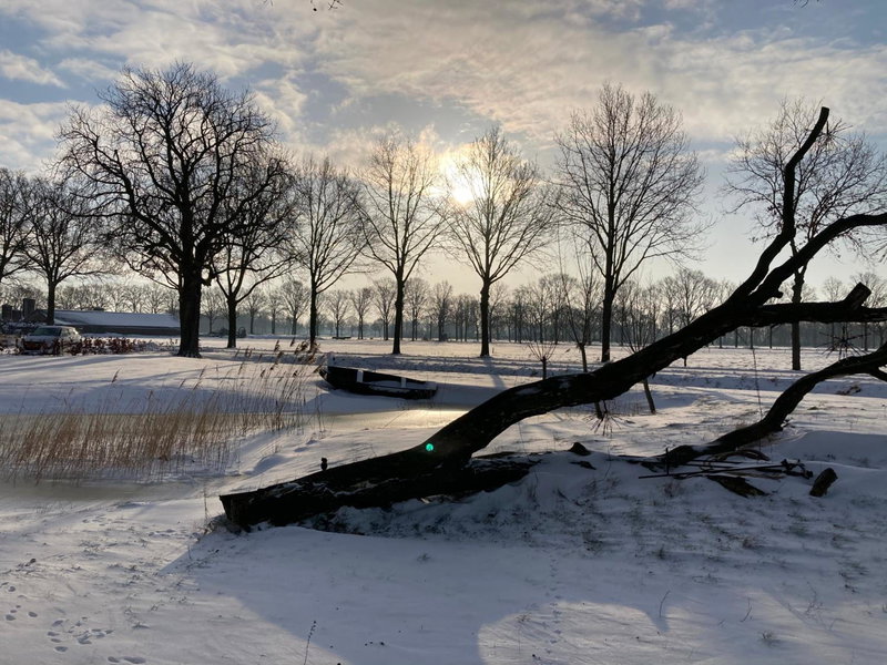 Dreams and Wellness, Vorstenbosch, The Netherlands