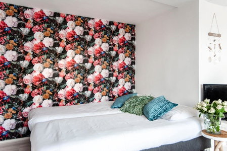 Appartement en Studio Papillon, Zandvoort, The Netherlands