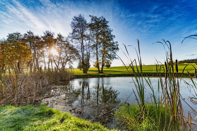 Golf&Wellness Resort Alfrédov, Alfrédov, Czechia