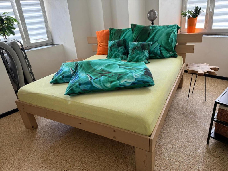 Apartman I Ubytovani v centru Jihlavy, Jihlava, Czechia