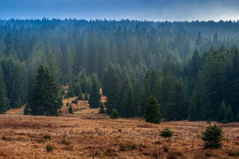 Horská Kvilda - Ubytování U Chvalů, Horská Kvilda, Czechia
