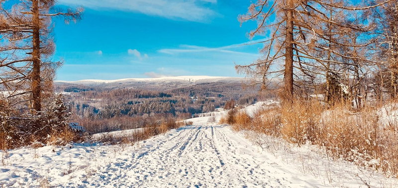 Apartmán U Sedmikrásky, Vaclavov u Bruntalu, Czechia