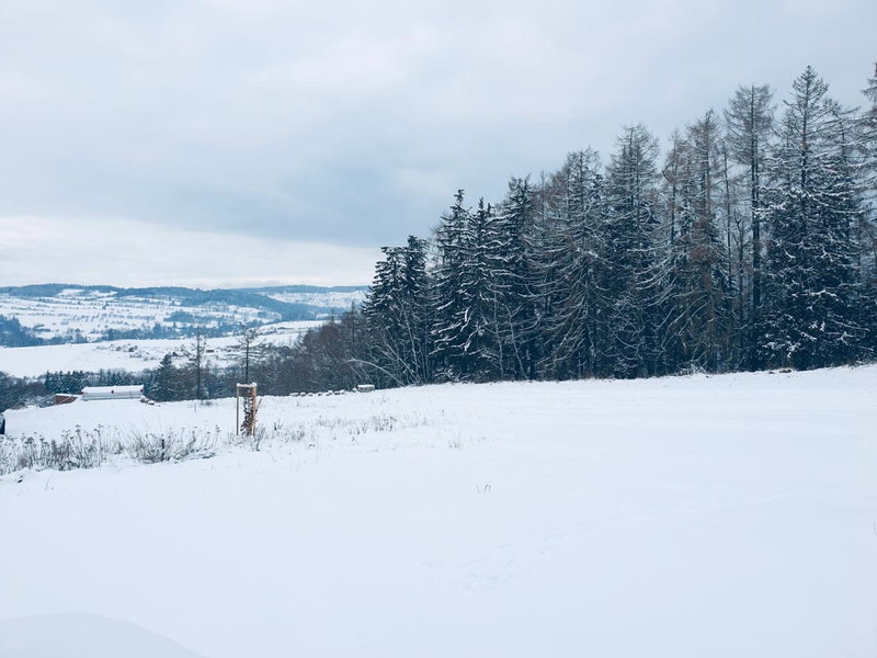 Apartmán U Sedmikrásky, Vaclavov u Bruntalu, Czechia