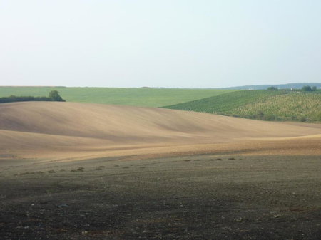 Ubytování Prušánky, Prušánky, Czechia