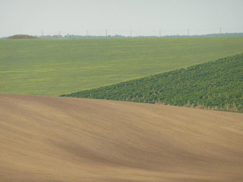 Ubytování Prušánky, Prušánky, Czechia