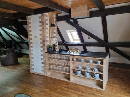 Galerie Vila Lucia 5 -Loft apartmán, Plzeň, Czechia