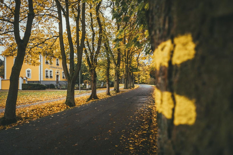 Apartmány Natálie, Františkovy Lázně, Czechia