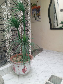 riad kamal, Rabat, Morocco