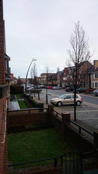 Soucis au vent, De Panne, Belgium