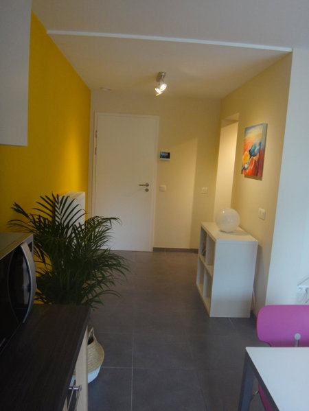 Appartement rez Terrasse et Jardin, Huy, Belgium