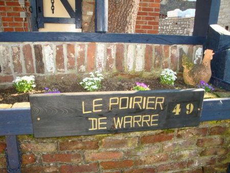 Le poirier de Warre, Durbuy, Belgium