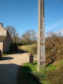 Le poirier de Warre, Durbuy, Belgium
