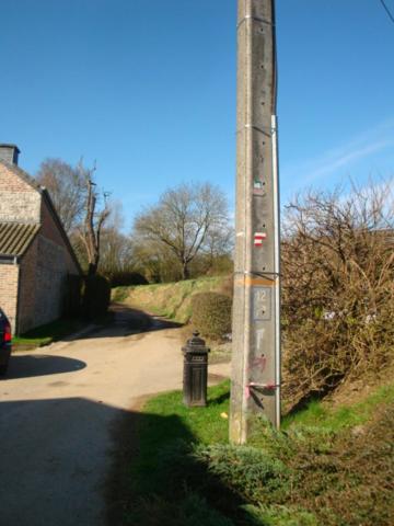 Le poirier de Warre, Durbuy, Belgium