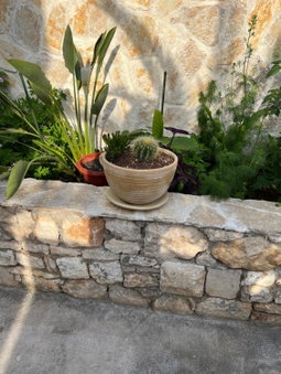 Jakov & Antonia Heritage Estate, Hvar, Croatia