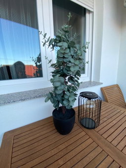 Apartman Pepper, Osijek, Croatia