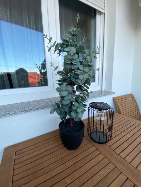 Apartman Pepper, Osijek, Croatia