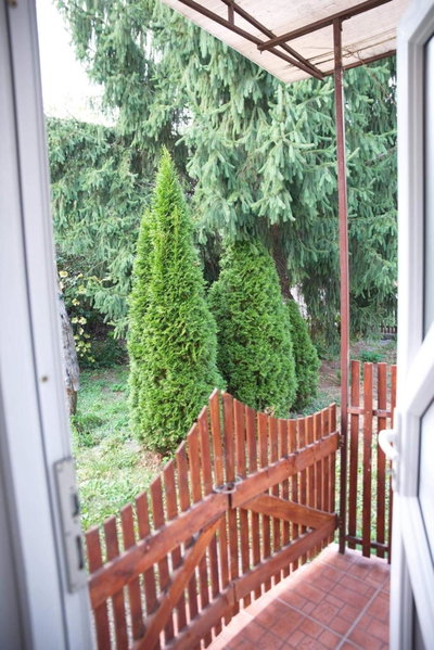 Garden, Satu Mare, Romania