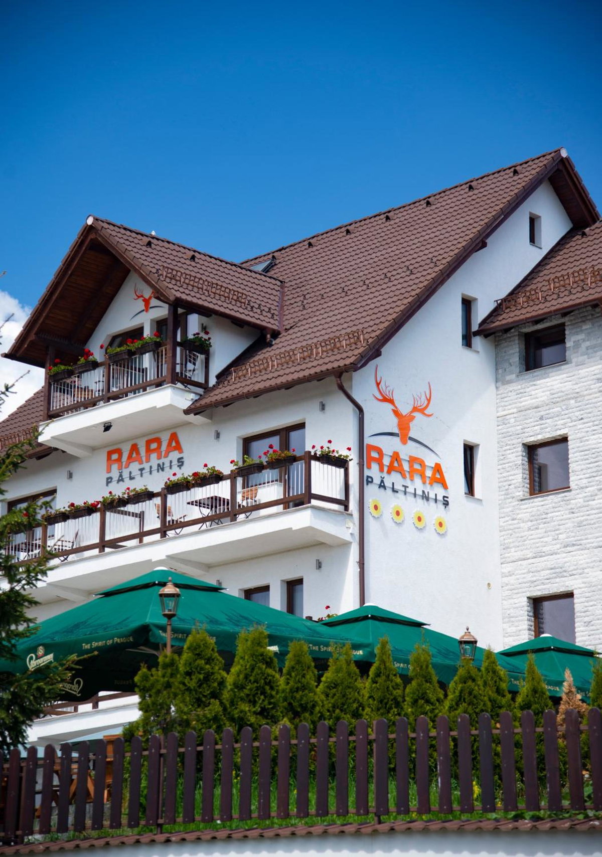 Hotel · Pensiune Rara Paltinis, Păltiniş