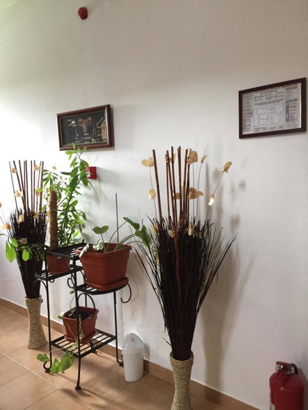Adrys Boutique Villa, Constanţa, Romania