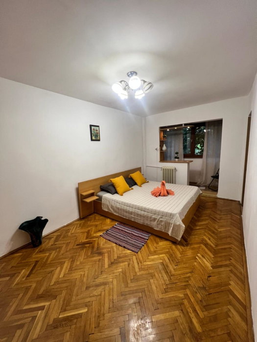 Miha modern and central apartament Malul Mureșului, Arad, Romania