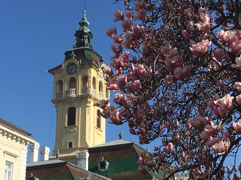 Schäffer Palace, Szeged, Hungary