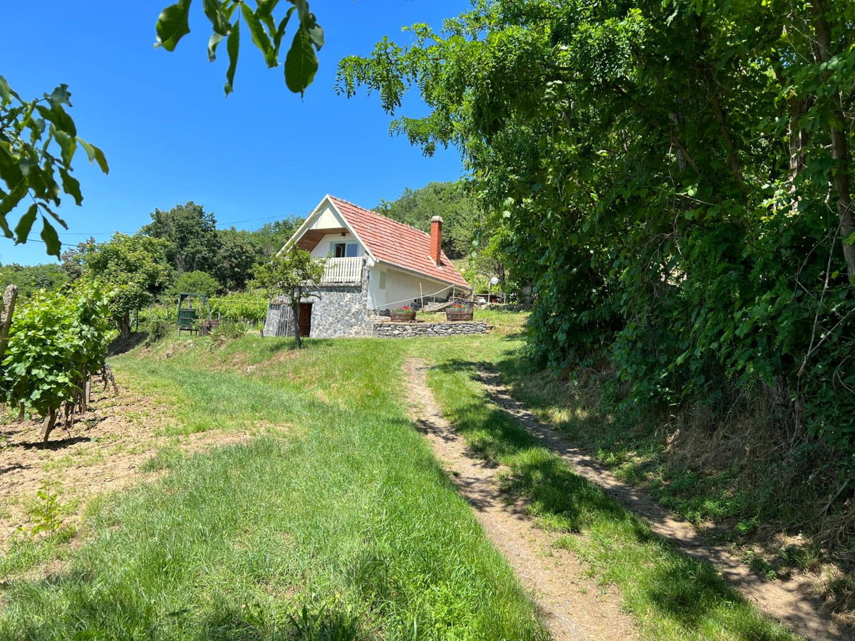 Hotel · Vine Cottage, Káptalantóti