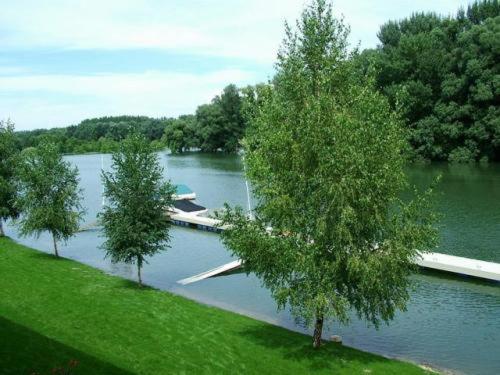 Amstel Hattyú Panzió -Érintésmentes bejelentkezés, Győr, Hungary