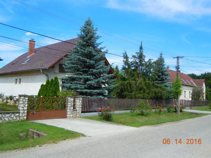 apartman-kata, Fertőd, Hungary