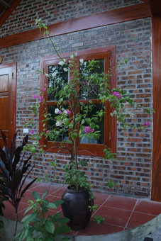 Thanh Dat Homestay, Hoa Lu, Vietnam