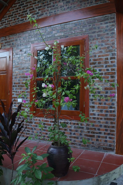Thanh Dat Homestay, Hoa Lu, Vietnam