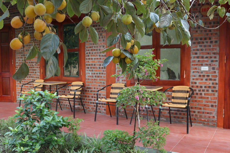 Thanh Dat Homestay, Hoa Lu, Vietnam