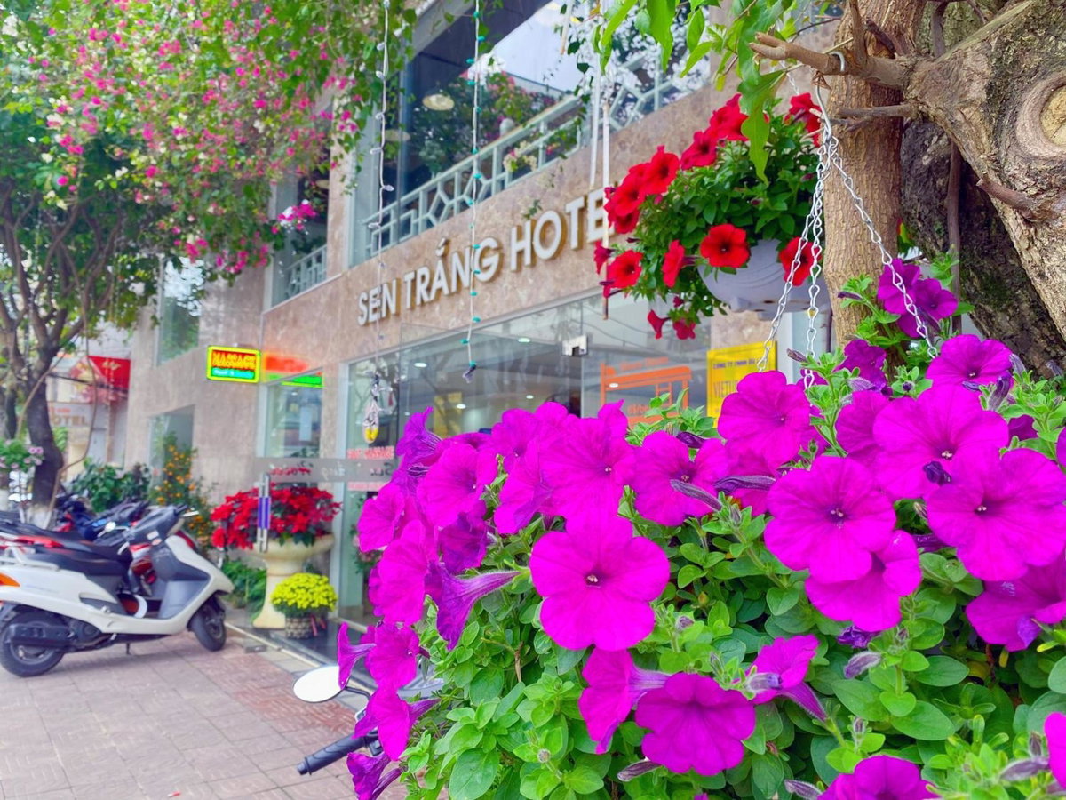 Hotel · Sen Trang Hotel, Lao Cai