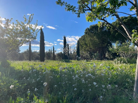 DOMAINE DES CLOS Hôtel et appartements- Teritoria, Beaucaire, France