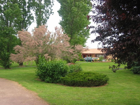 Campanile NATURE - Niort Est La Crèche, La Creche, France