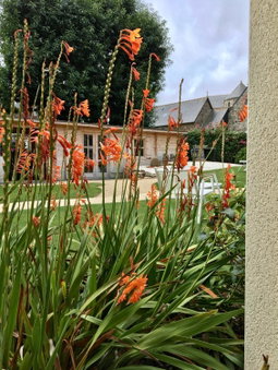 Hôtel Les Agapanthes-Logis Hôtel, Ploubazlanec, France