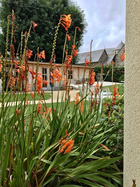 Hôtel Les Agapanthes-Logis Hôtel, Ploubazlanec, France