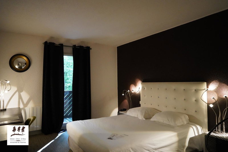 Enzo Hôtels Diane - Logis Amnéville, Amnéville, France