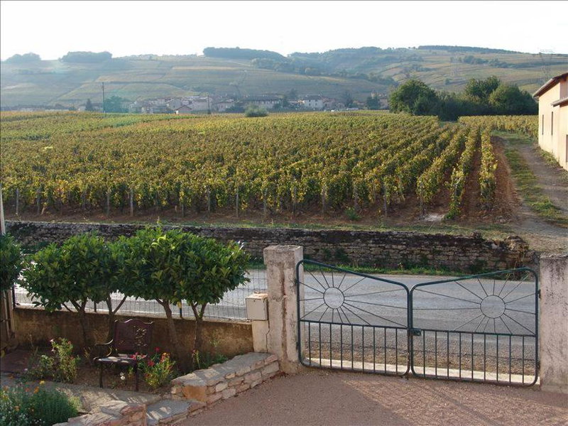 La Vigneraie, Fuissé, France