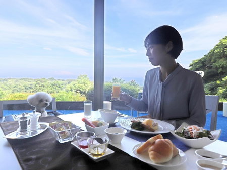 Wan's Resort Jogasaki Coast, Ito, Japan