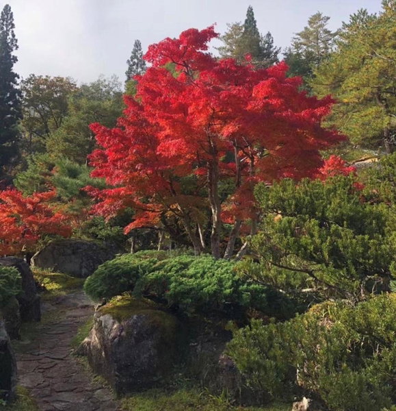 Shohakuen, Takayama, Japan