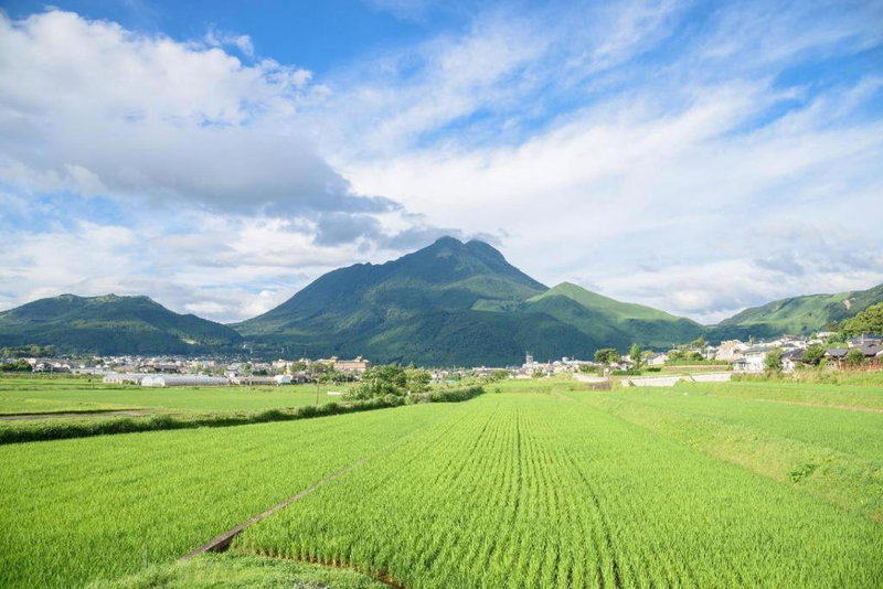 Yufuin Luxury Villa -zakuro-, Yufu, Japan