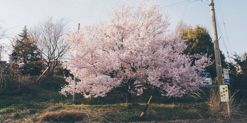 La Terra Nagano, Shiojiri, Japan
