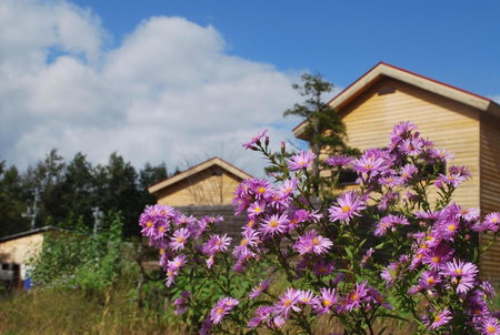 Auberge Ninguruforet, Biei, Japan