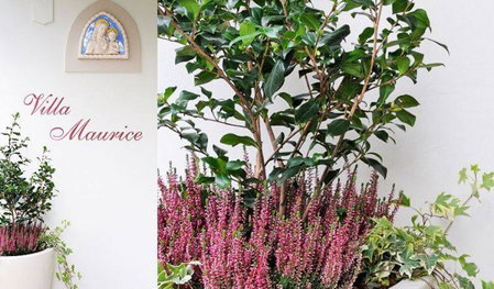 Residence Villa Maurice, Stresa, Italy