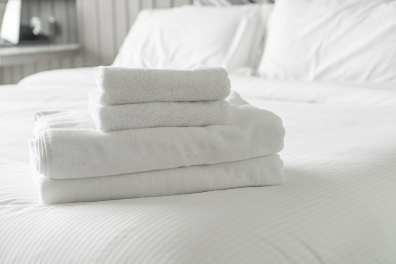 Alis Laura Guest House - 10 mins to Colosseum, Modern & Near Metro, Rome, Italy