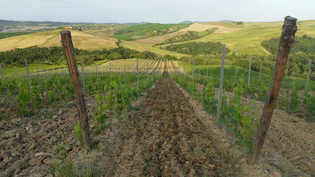 Agriturismo Mocine, Asciano, Italy