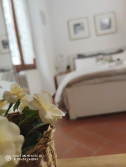 Dante's Relais, Florence, Italy