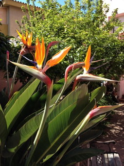 Affittacamere Ciro's House, Olbia, Italy