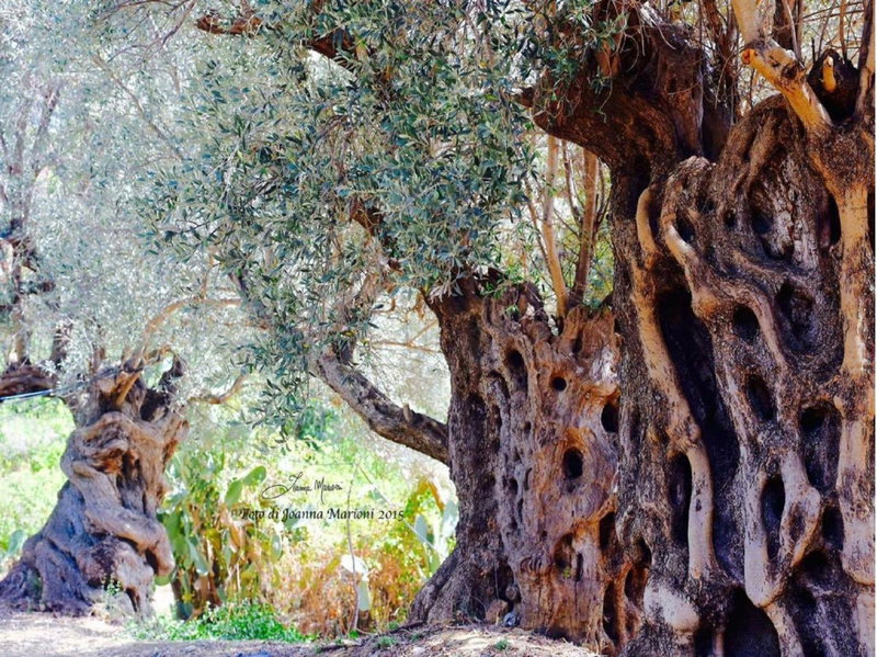 Villa La Lumia B&B Suites & Apartments, Agrigento, Italy